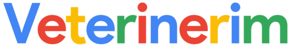 Türkiye'nin En Kapsamlı Veteriner ve Petshop Rehberi